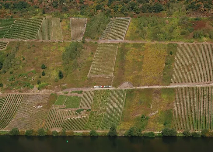 Apartment In Der Kehr